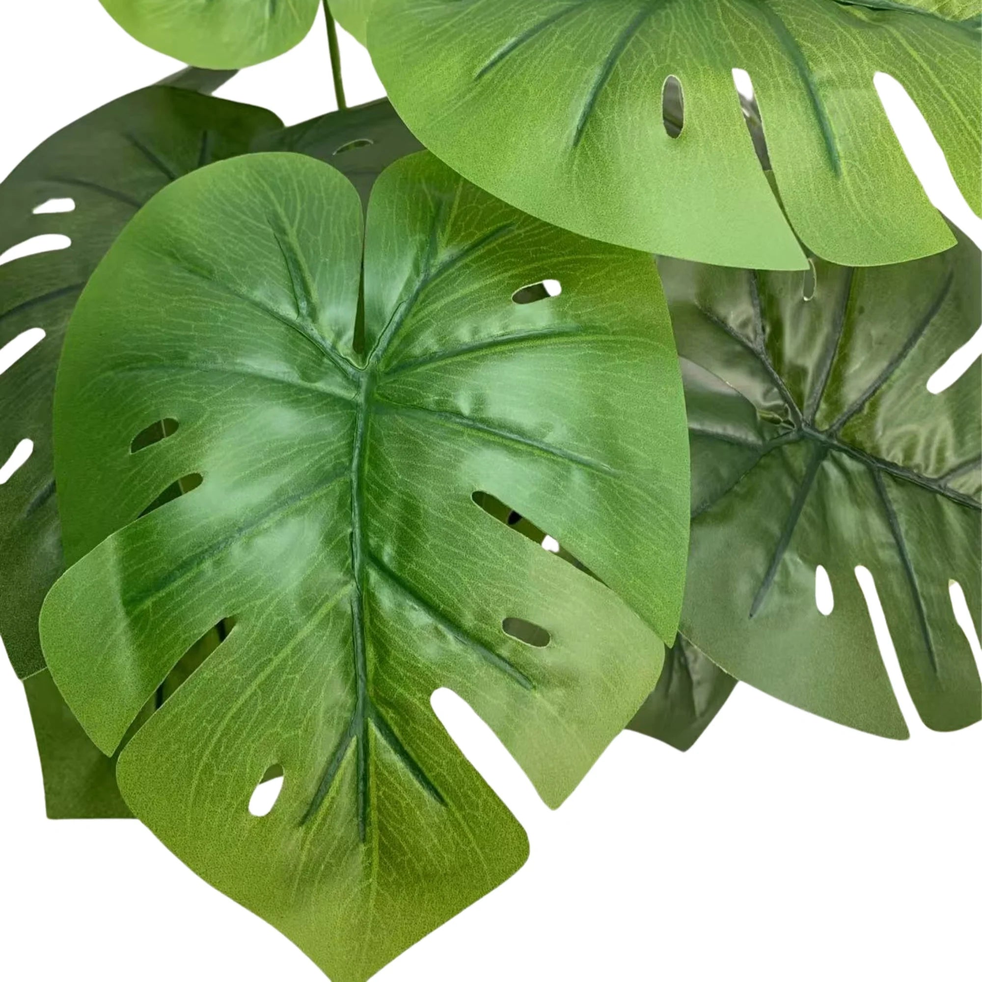 Mini Monstera Plant - 50cm Decorative Potted Greenery for Home & Office - Perfect for Indoor Decor, Housewarming Gifts, and Shelf Styling