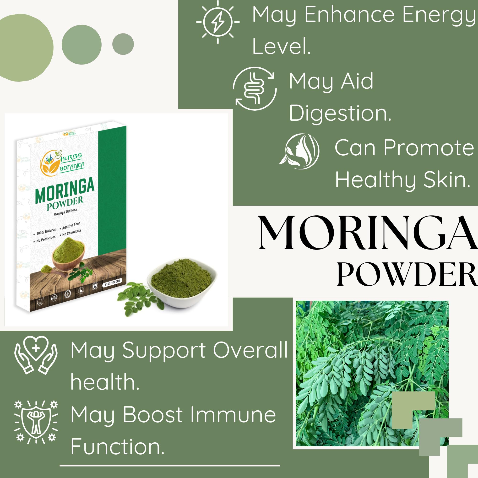 Premium Organic Moringa Oleifera Leaf Powder - 100% Pure Indian Superfood (5.3oz) | Rich in Vitamins & Antioxidants | Boost Immunity & Energy | Perfect for Smoothies, Teas & Healthy Morning Drinks