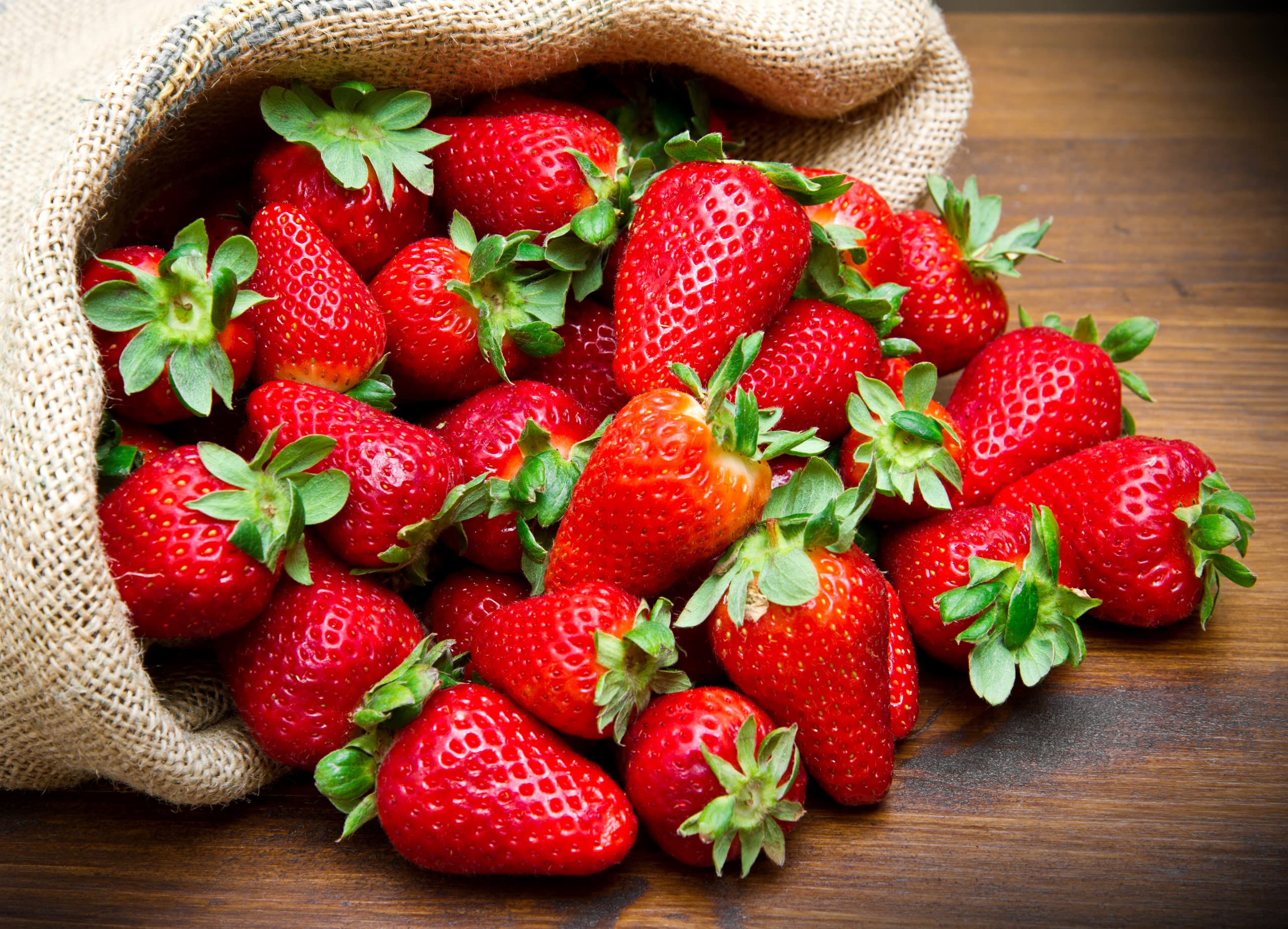 15+ Giant Strawberry Fresca Everbearing Seeds - Sweet Red Fruit Plants for Home Garden, Patio & Container Planting