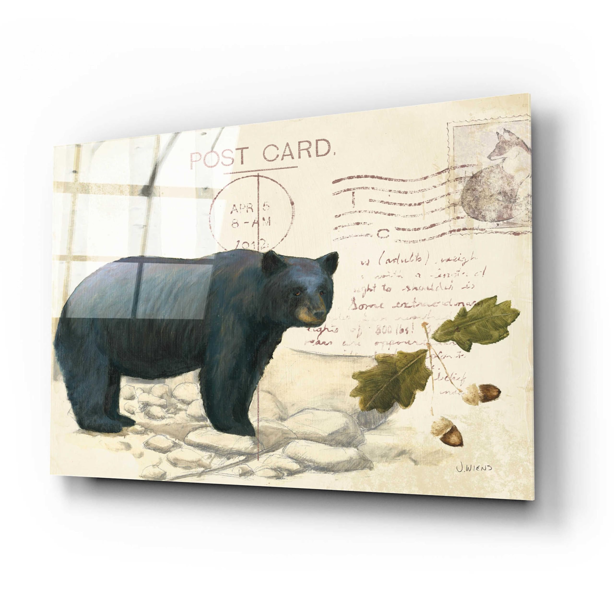 Northern Wild Bear Acrylic Glass Wall Art by James Wiens - 24x16 Inches Modern Wildlife Painting for Living Room, Office & Cabin Decor