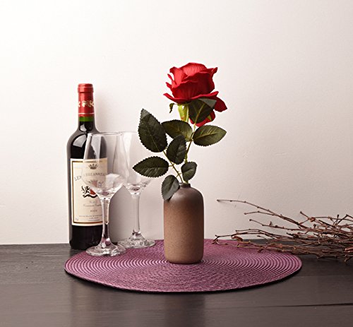 Heat Resistant Round Vinyl Woven Placemats for Kitchen Table - Set of 6 Purple Table Mats - Perfect for Dining, Entertaining & Home Decor