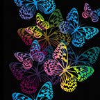 Butterflies Art