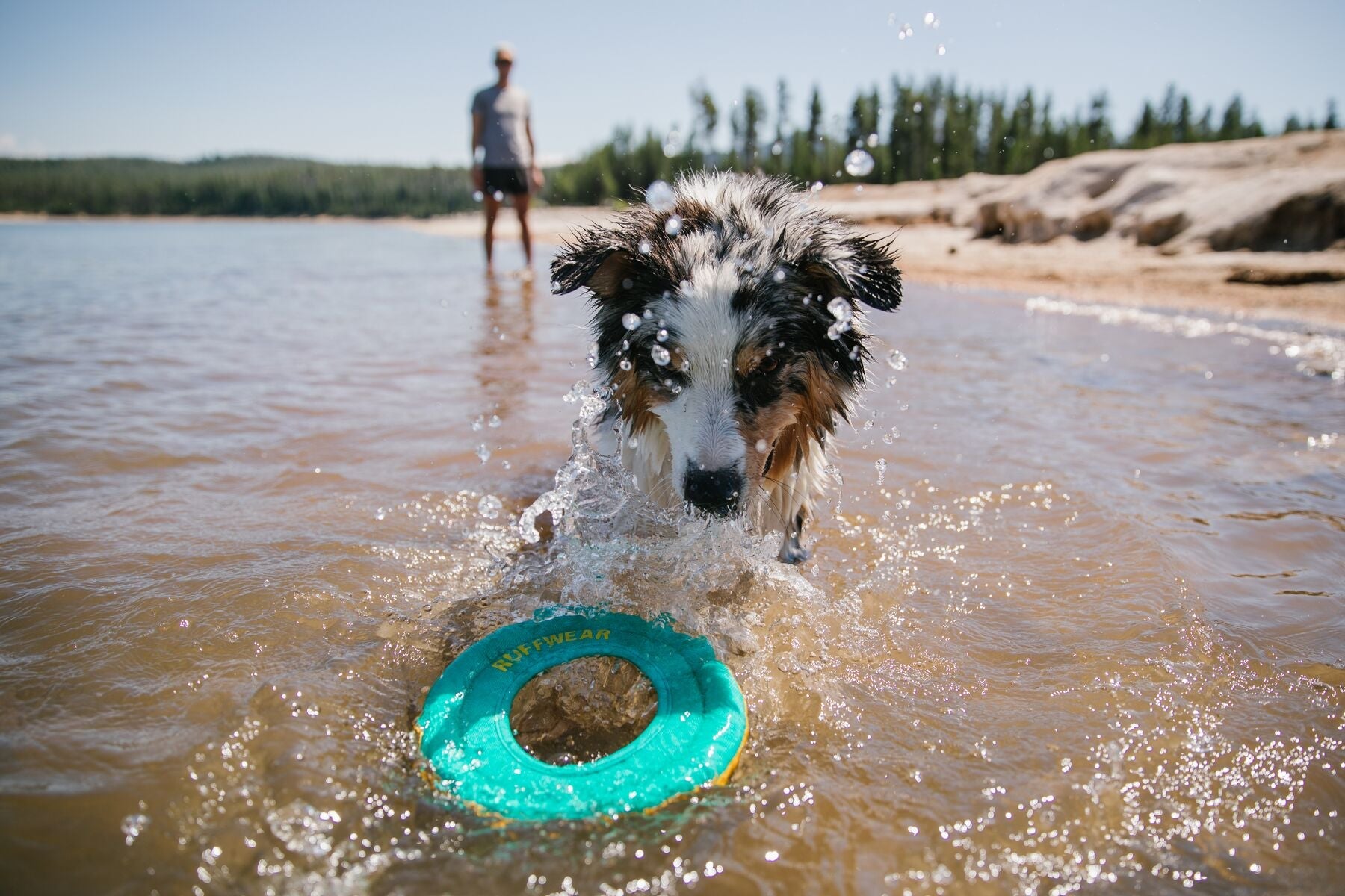 Hydro Plane™ Bioluminescent Blue Floating Dog Disc - Water Fetch Toy for Dogs - Ruffwear® - Perfect for Beach, Pool & Outdoor Play
