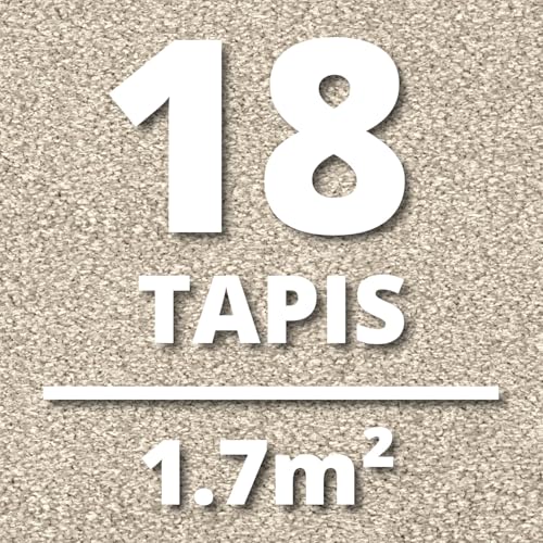 Carpet Creamwhite | 18 Tapis | 1,67 M²