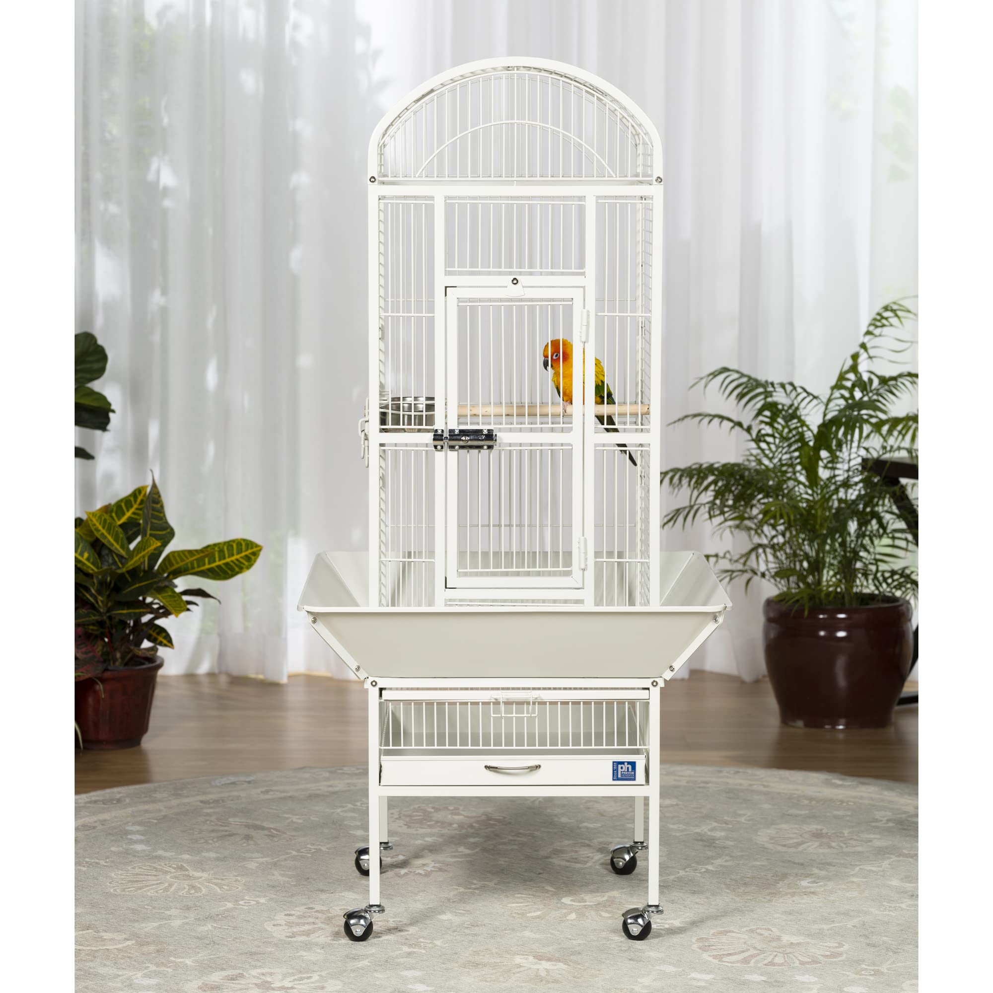 Prevue Pet Products 34512 Small Chalk White Dometop Bird Cage - Perfect for Parakeets, Finches & Small Birds - Home & Office Decor