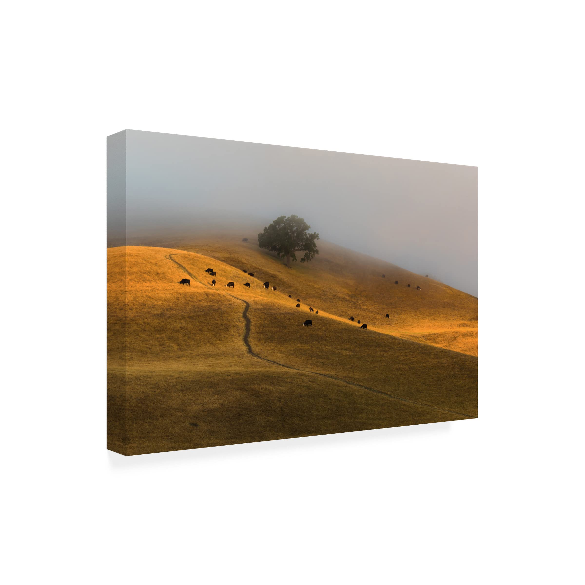Trademark Fine Art 'A Summer Morning In Trivalley' Canvas Wall Art by Jenny Qiu - Landscape Painting for Living Room, Bedroom & Office Decor