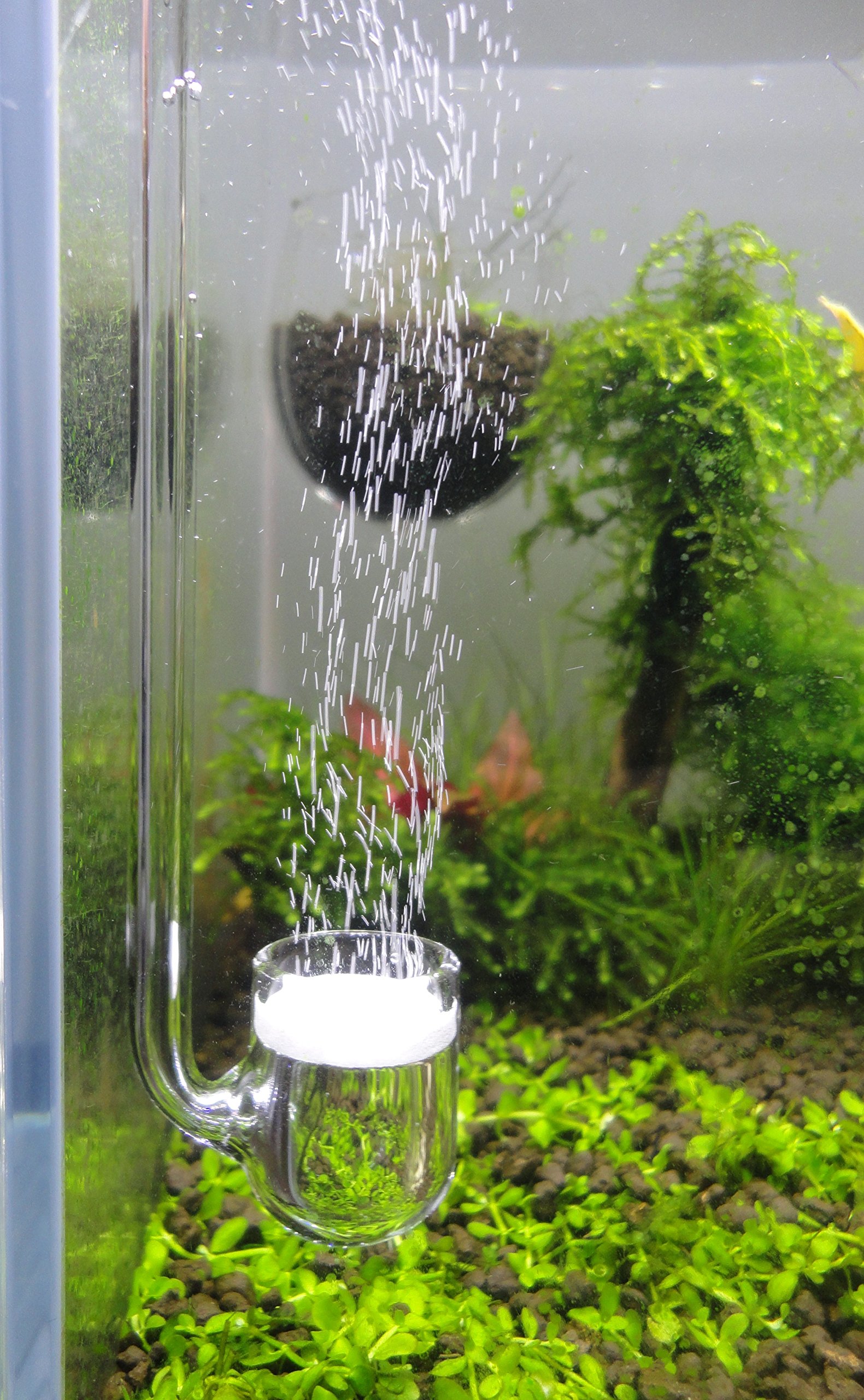 Premium U-Shape Glass CO2 Diffuser for Aquarium Plants - Enhances Plant Growth in Freshwater Fish Tanks & Aquatic Ecosystems