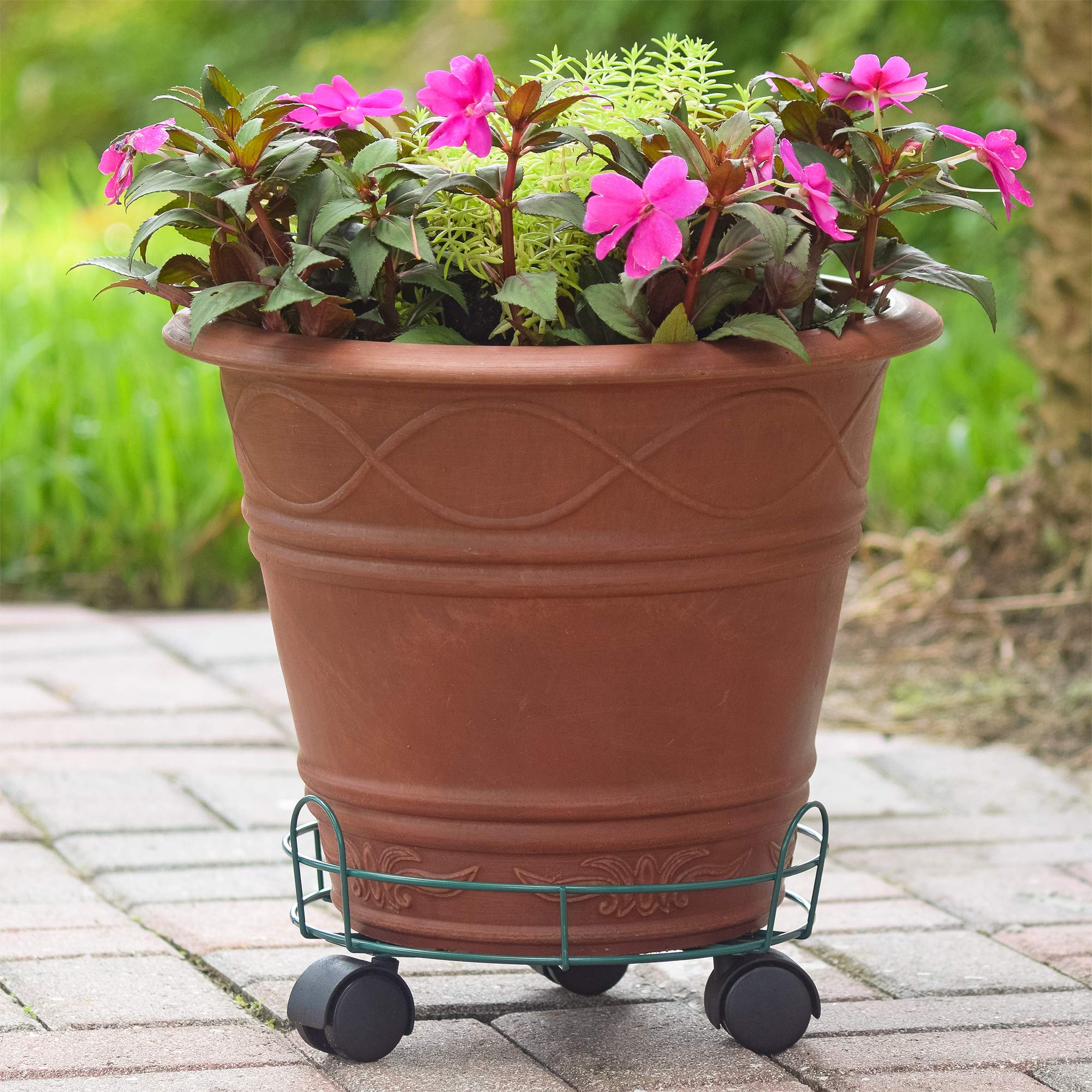 Arcadia Garden Products 10 Inch Green Basic Plant Caddy with Wheels - Heavy Duty Rolling Plant Stand for Indoor Outdoor Potted Plants, Flowers, and Herbs - Perfect for Home, Garden, Patio, and Balcony Decor