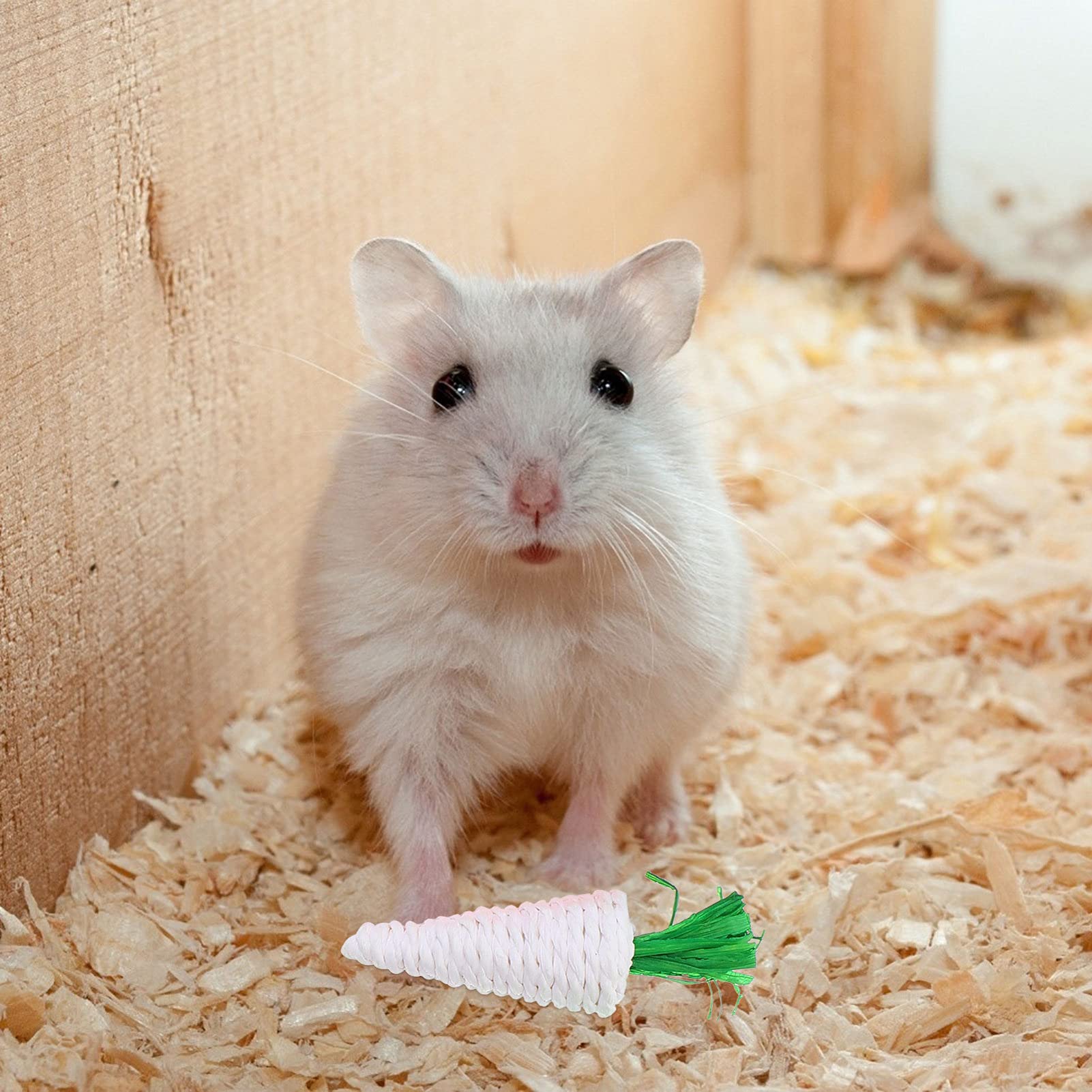 STOBOK 5pcs Hamster Chew Toys for Teeth Care - Natural Cotton Rope Chewing Toys for Rabbits, Guinea Pigs, Parrots & Small Pets - Safe Molar Teething Relief & Stress Relief - Perfect for Cage Play, Dental Health & Boredom Prevention
