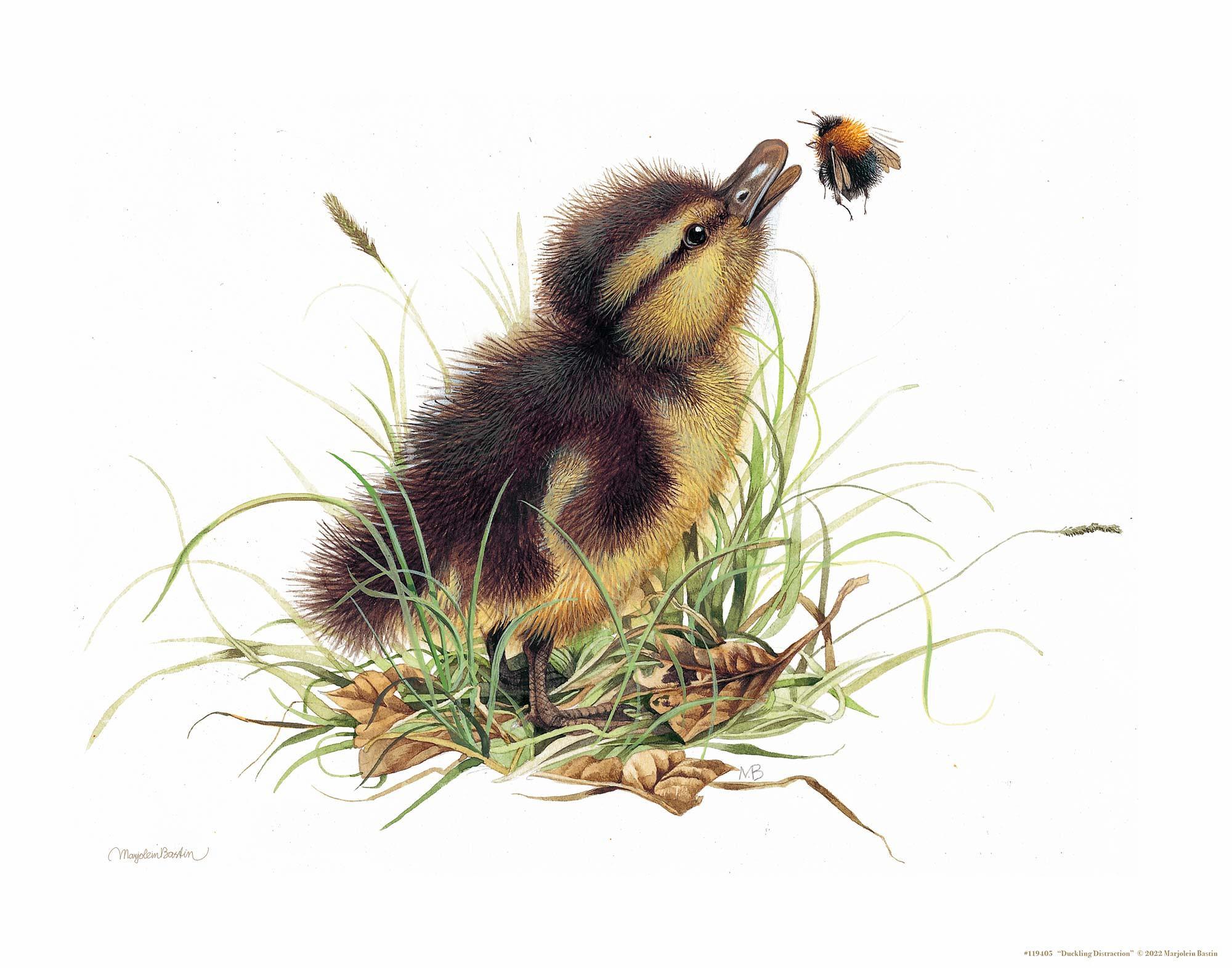 Funny Duckling Distraction Toy - Stress Relief & Fidget Gadget for Kids & Adults - Perfect for Office, School, and Home Use