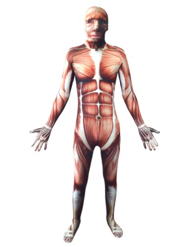 Muscle