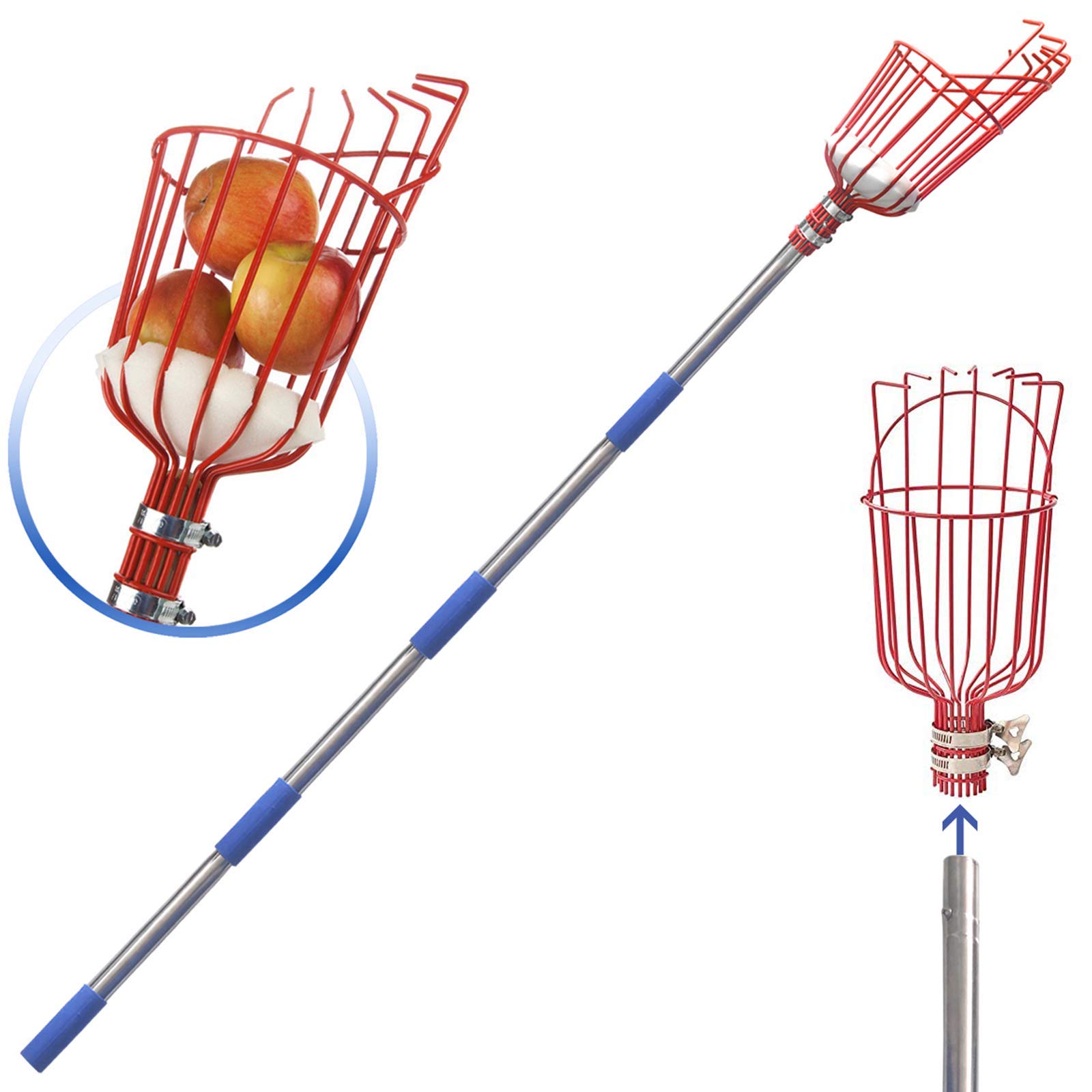 DIIG 5.5 Foot Extendable Fruit Picker with Stainless Steel Pole - Harvesting Tool for Apples, Oranges, Lemons, Mangoes, Avocados & More - Perfect for Home Garden, Orchard Picking & Backyard Fruit Harvesting