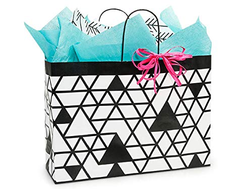 Set of 6 Eco-Friendly Kinetic Ink Paper Shopping Bags (3 Sizes) with Tissue Paper - 100% Recyclable & Made in USA | Perfect for Retail Stores, Gift Packaging & Boutique Shopping