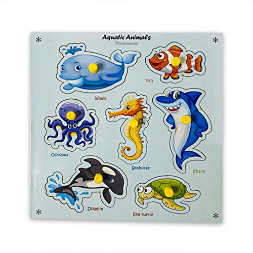 Aqua animal
