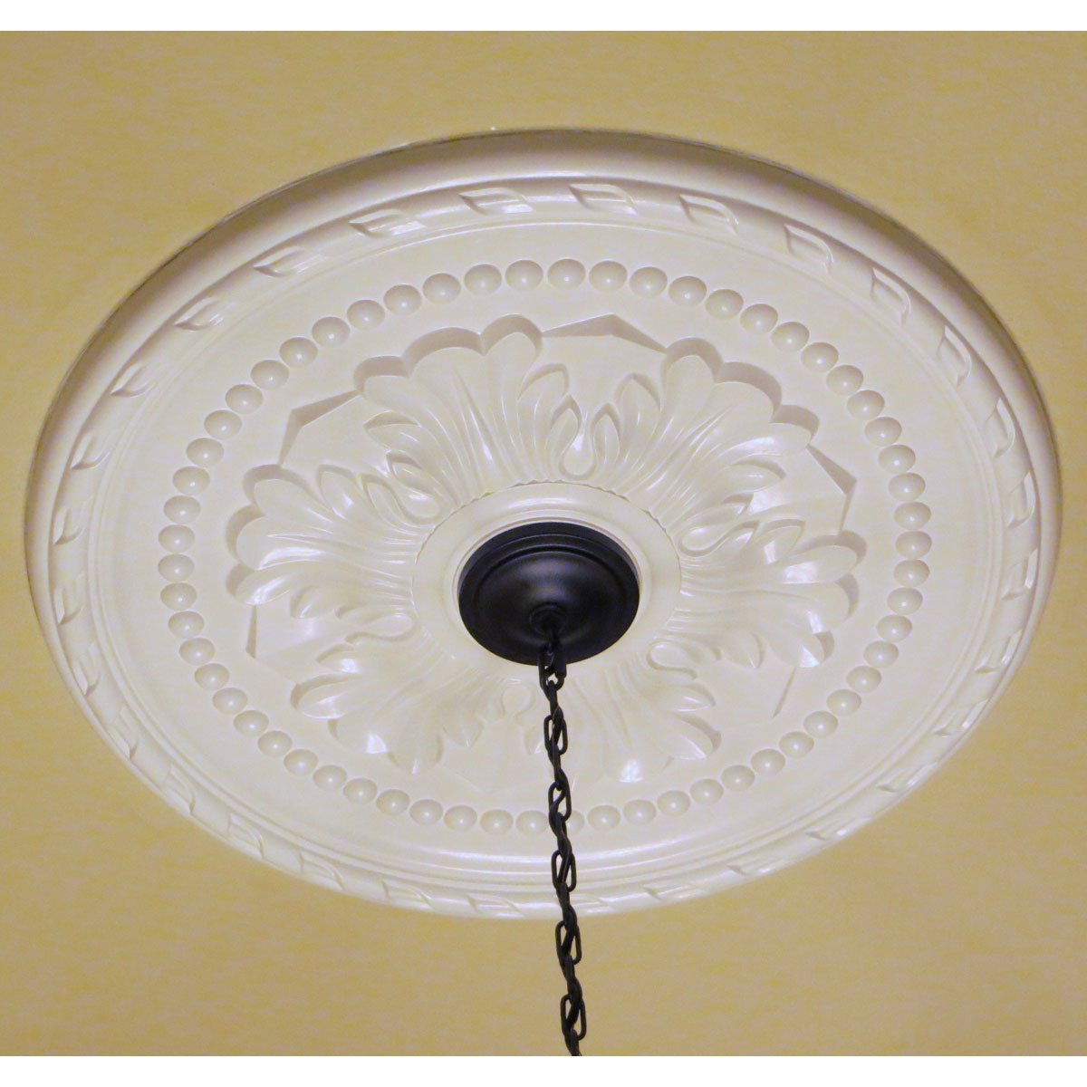 Ekena Millwork CM20PMPCC Palmetto Ceiling Medallion - 20 7/8