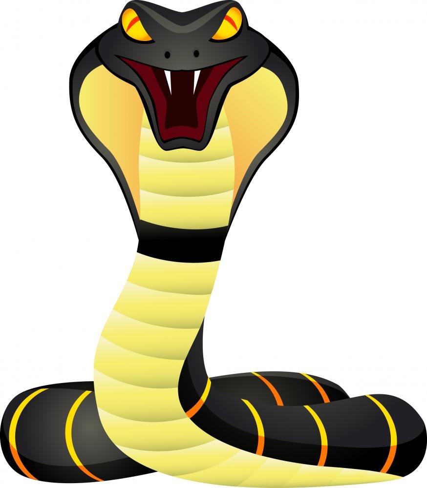 King Cobra Peel and Stick Wall Decal - 18 x 16 Inches - Removable Wall Sticker for Home & Office Decor - Perfect for Living Room, Bedroom, or Kids Room