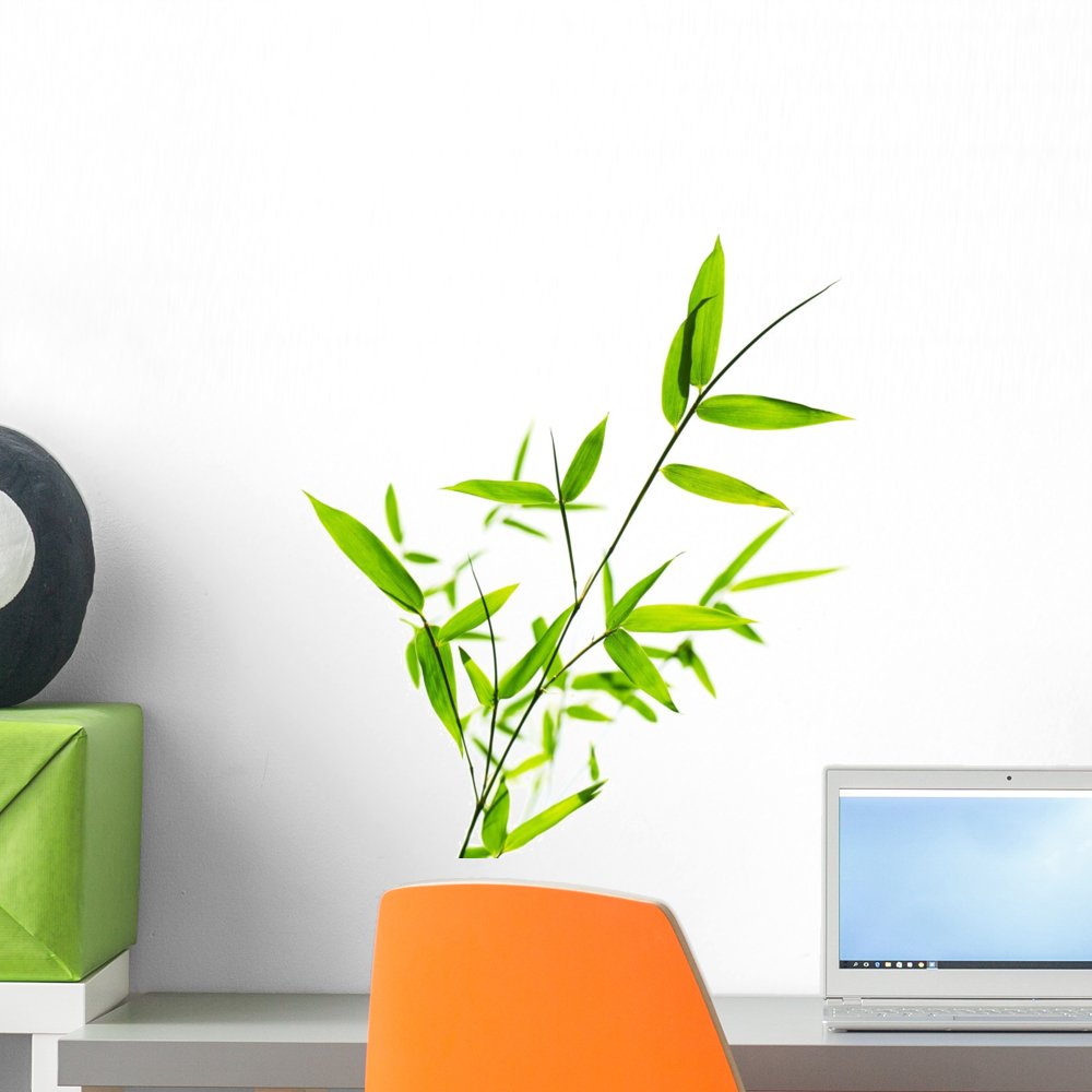 Wallmonkeys Peel and Stick Bamboo Leaves Wall Decal - 18x18 Inches Removable Wall Sticker for Home, Office, Nursery & Bedroom Decor