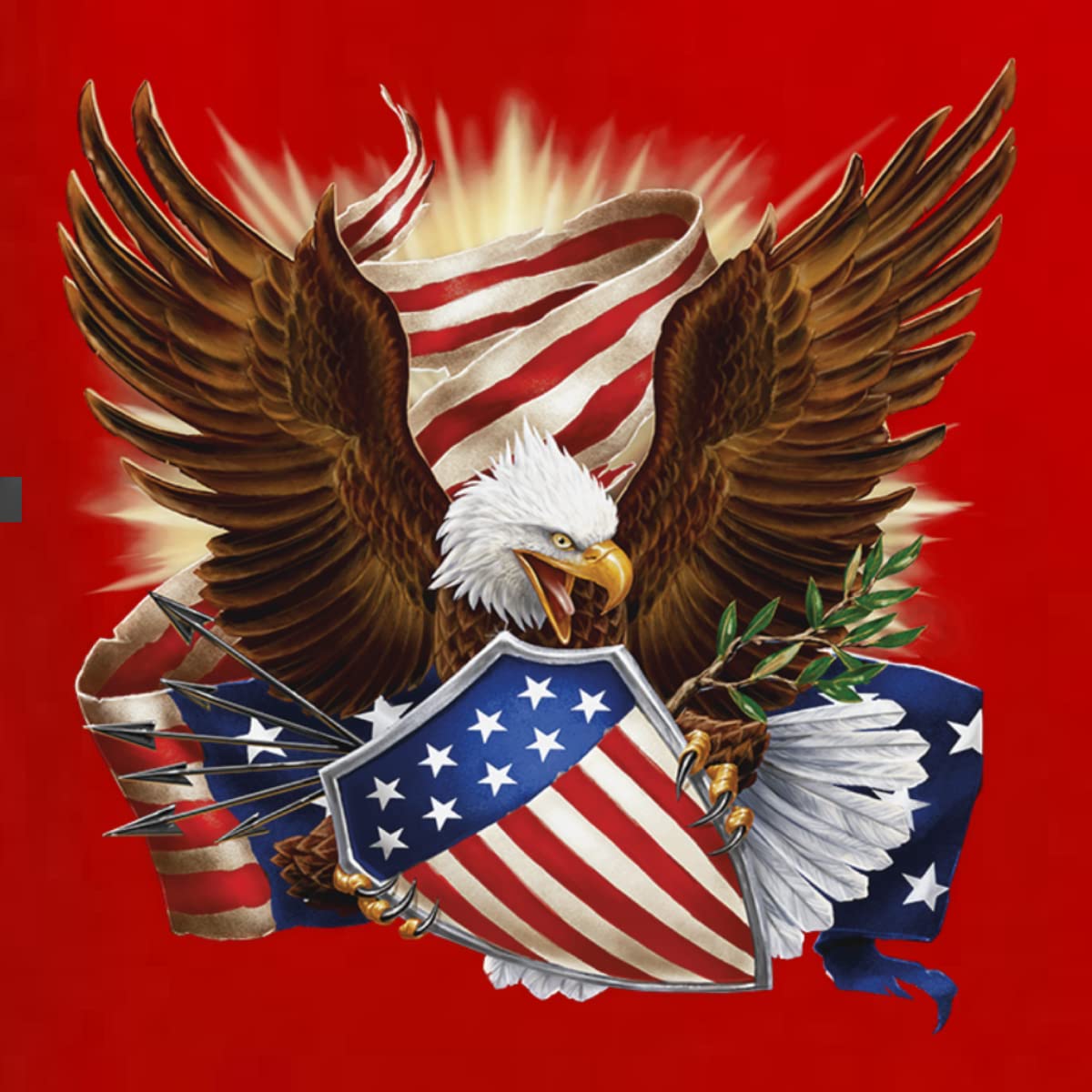 Wild Bobby Eagle American Flag Graphic Sweatshirt - Patriotic USA Pride Unisex Crewneck Pullover | Perfect for 4th of July, Veterans Day & Casual Wear