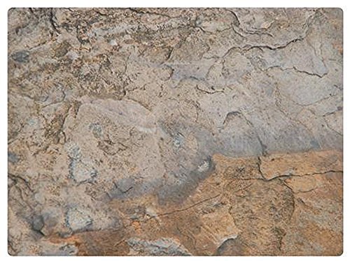 Portmeirion Pimpernel Earth Slate Placemats Set of 6 - 12