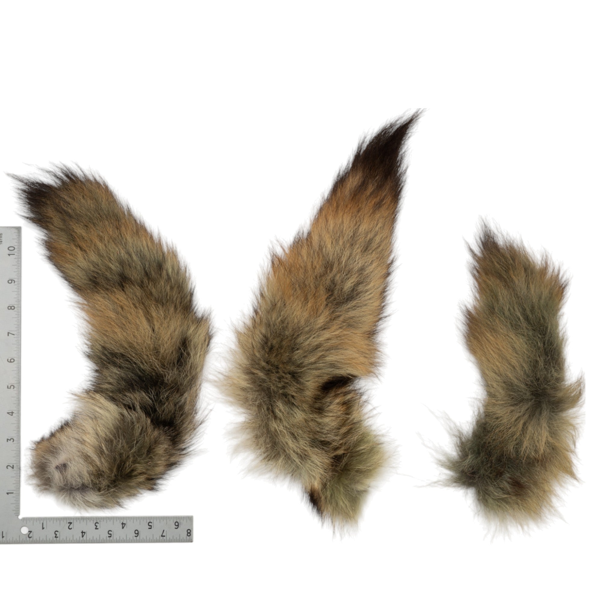 Premium Real Tail Hide - Assorted Animal Species (Green) for DIY Crafts, Home Decor & Costume Accessories