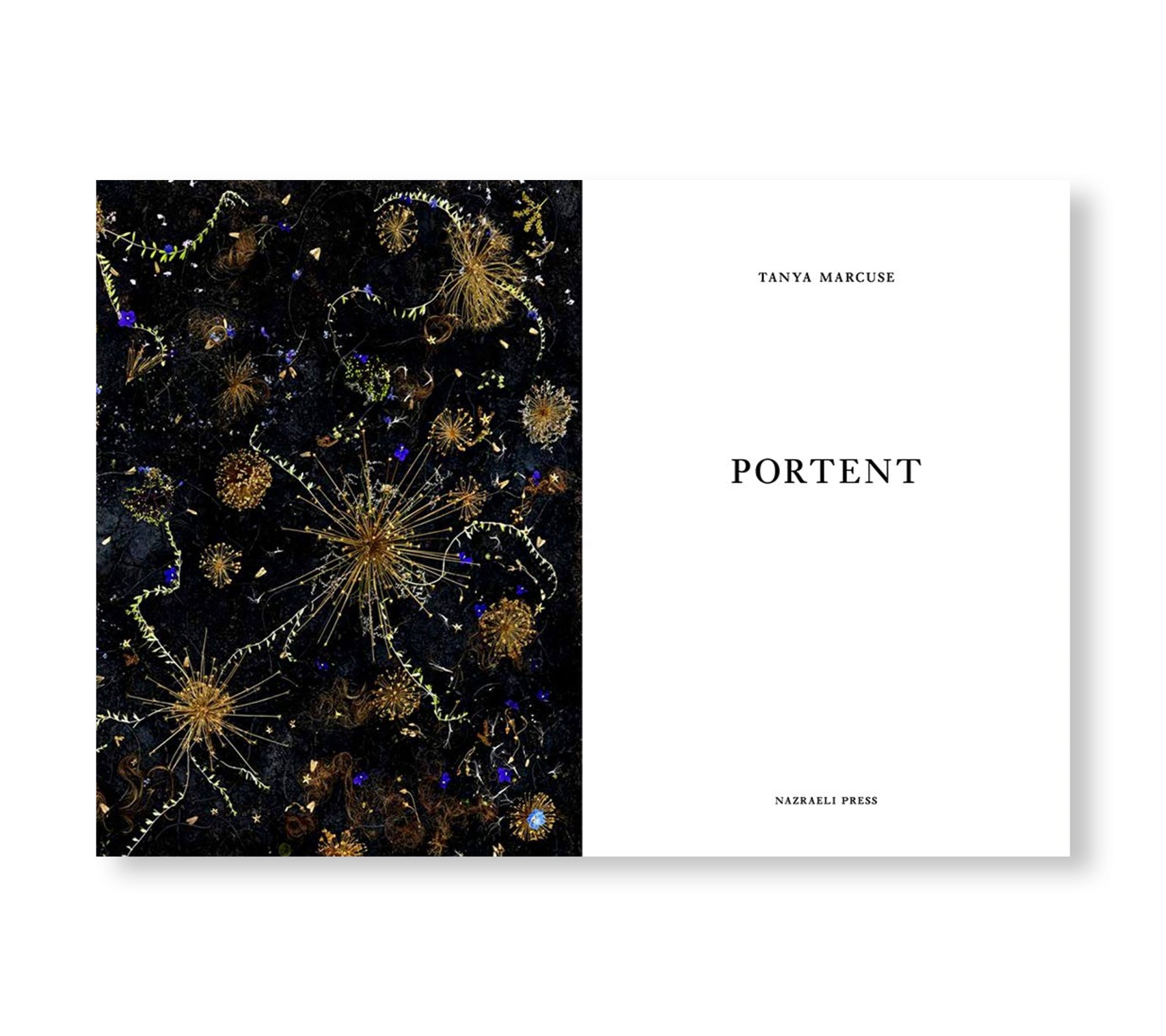 ONE PICTURE BOOK TWO #37: PORTENT by Tanya Marcuse - Art Photography Book for Collectors & Enthusiasts - Perfect for Home Decor & Gift Giving