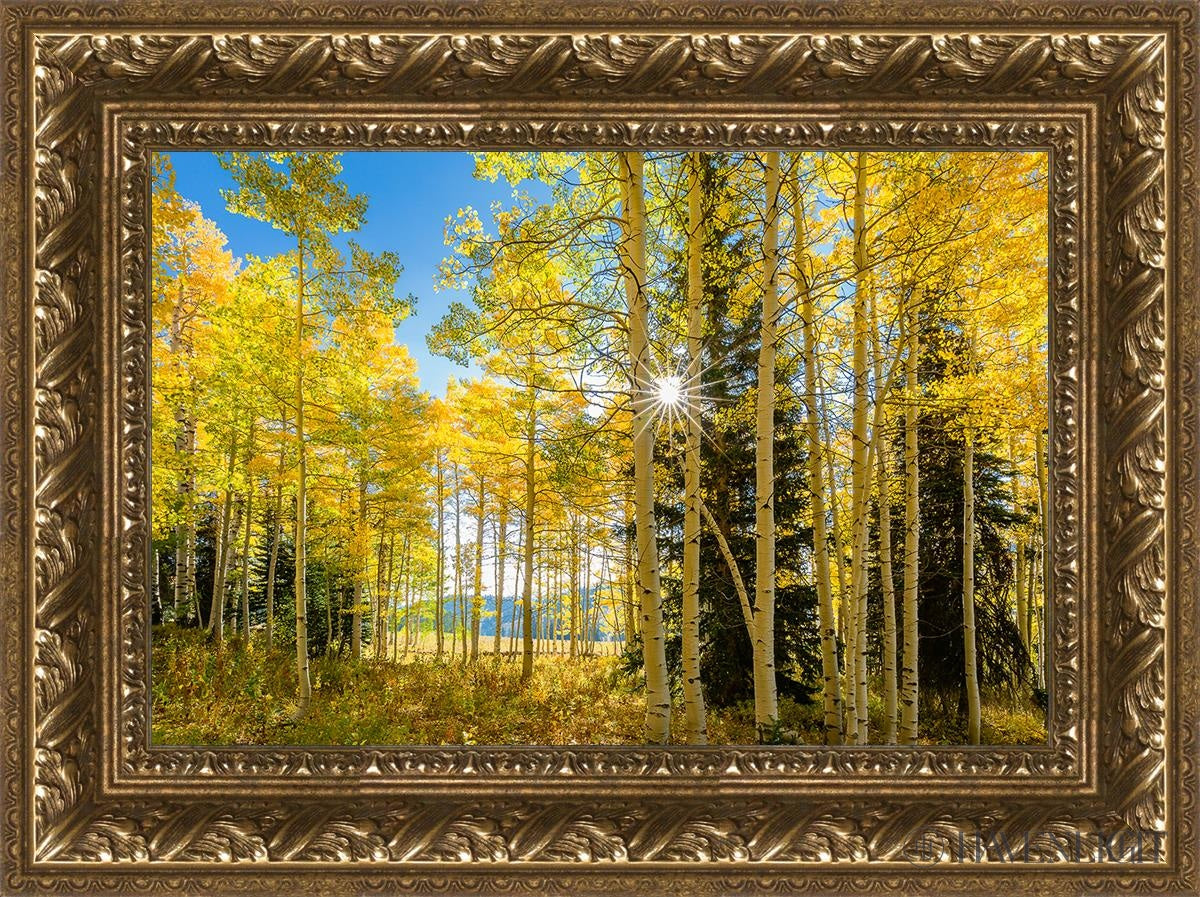 Autumn in the Rocky Mountains - Stunning Fall Foliage at Wasatch National Forest Utah | Perfect for Hiking, Photography & Nature Exploration