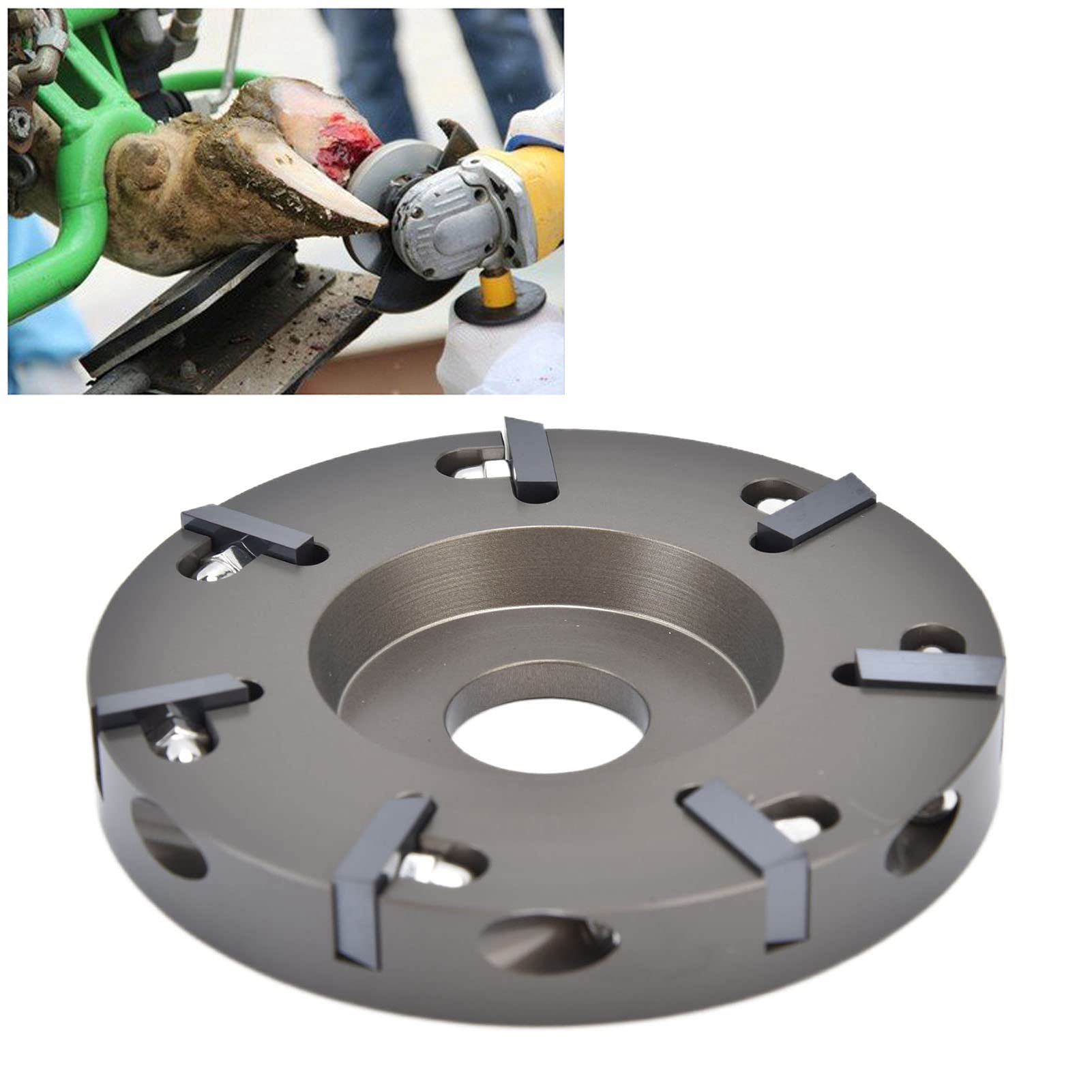 Yosoo Professional Electric Hoof Trimming Plate & Disc Cutter Tool for Cattle, Sheep, Horses - Durable Livestock Grooming Supplies for Farm & Ranch Maintenance