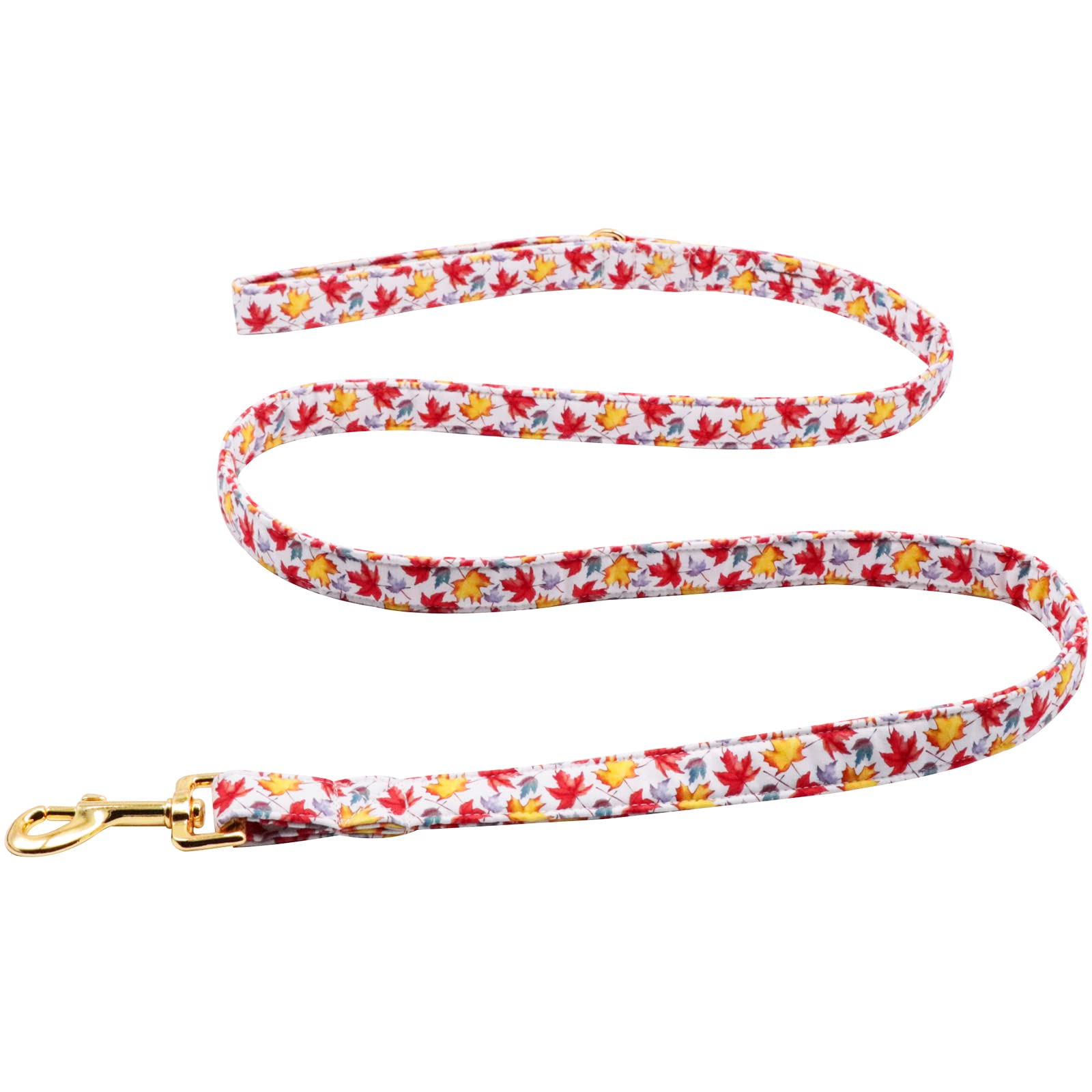 Lionet Paws Dog Leash and Matching Collar Set for Small, Medium & Large Dogs - Adjustable, Durable Pet Walking Accessories for Daily Walks, Training & Outdoor Adventures