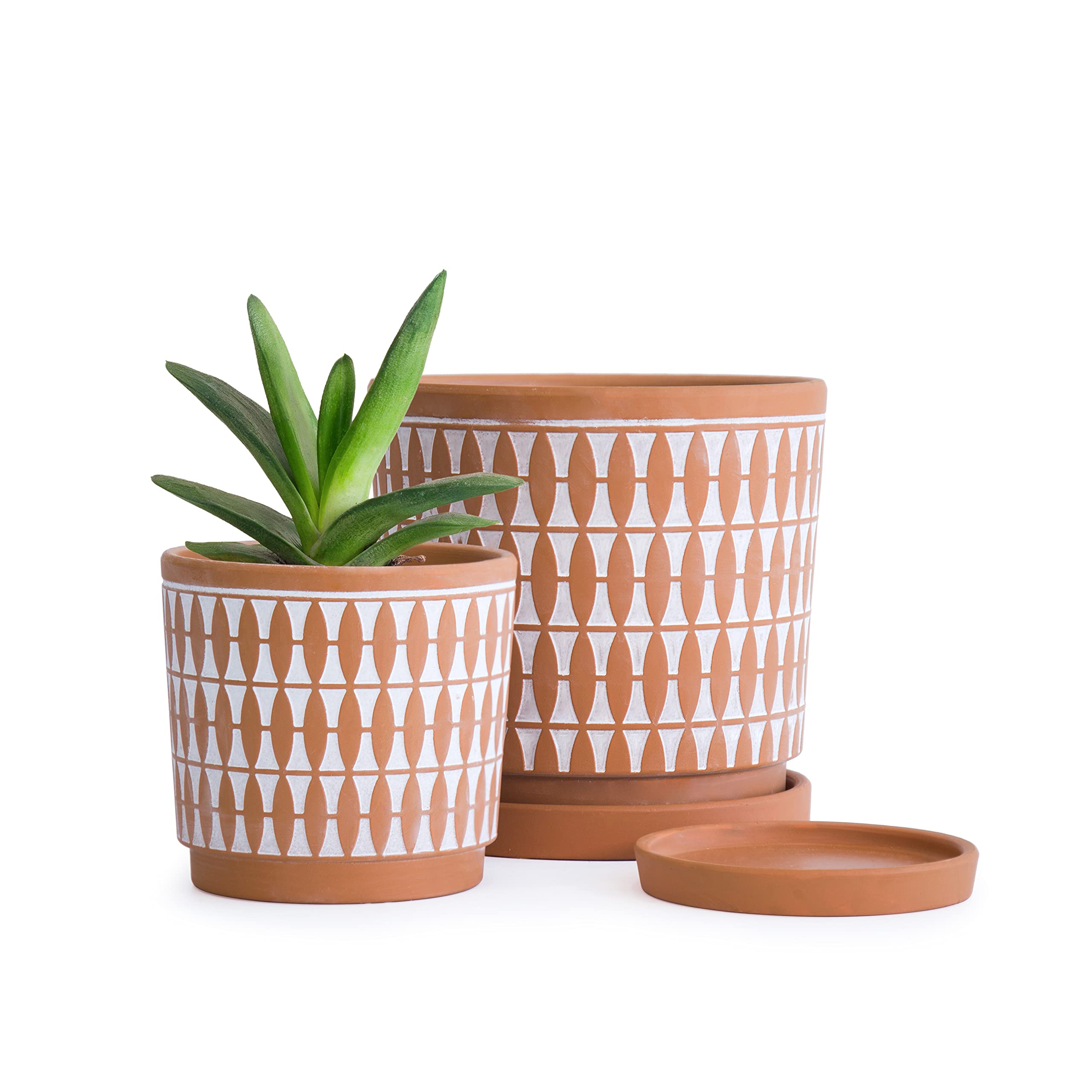 D'vine Dev Set of 2 Terracotta Plant Pots - 4 Inch & 6 Inch Clay Planters with Drainage Holes & Saucers - Pottery Red/White Indoor Outdoor Flower Pots for Succulents, Herbs, Small Plants - Home Garden Decor