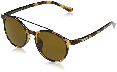 Tortoise / Polarized Brown