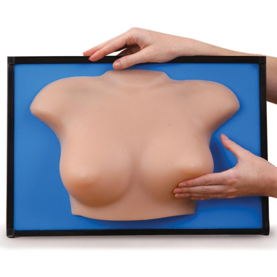 BSE Breast Self-Exam Model for Women - Realistic Beige Training Aid | Early Cancer Detection Practice Tool for Home & Clinical Use