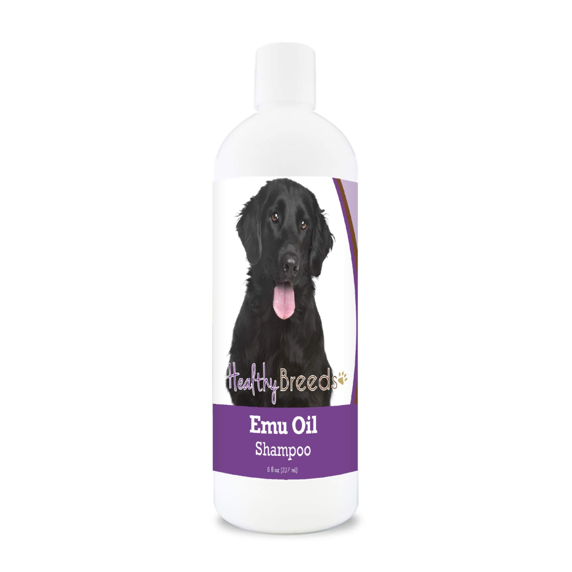 Healthy Breeds Flat Coated Retriever Emu Oil Shampoo for Dogs - 8 oz | Moisturizing & Soothing Formula for Dry Skin & Coat | Perfect for Bathing, Grooming & Allergy Relief