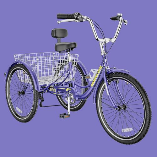 Cruiser &gt; Purple