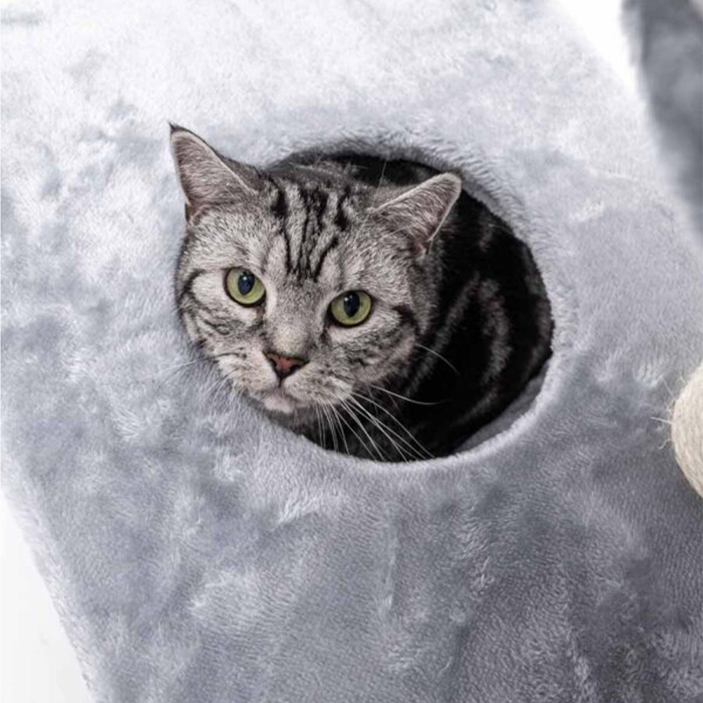Little Rebels Seattle 89cm Cat Tree with Scratching Posts & Perches - Premium Cat Climbing Tower for Indoor Cats - Perfect for Small Spaces & Playtime