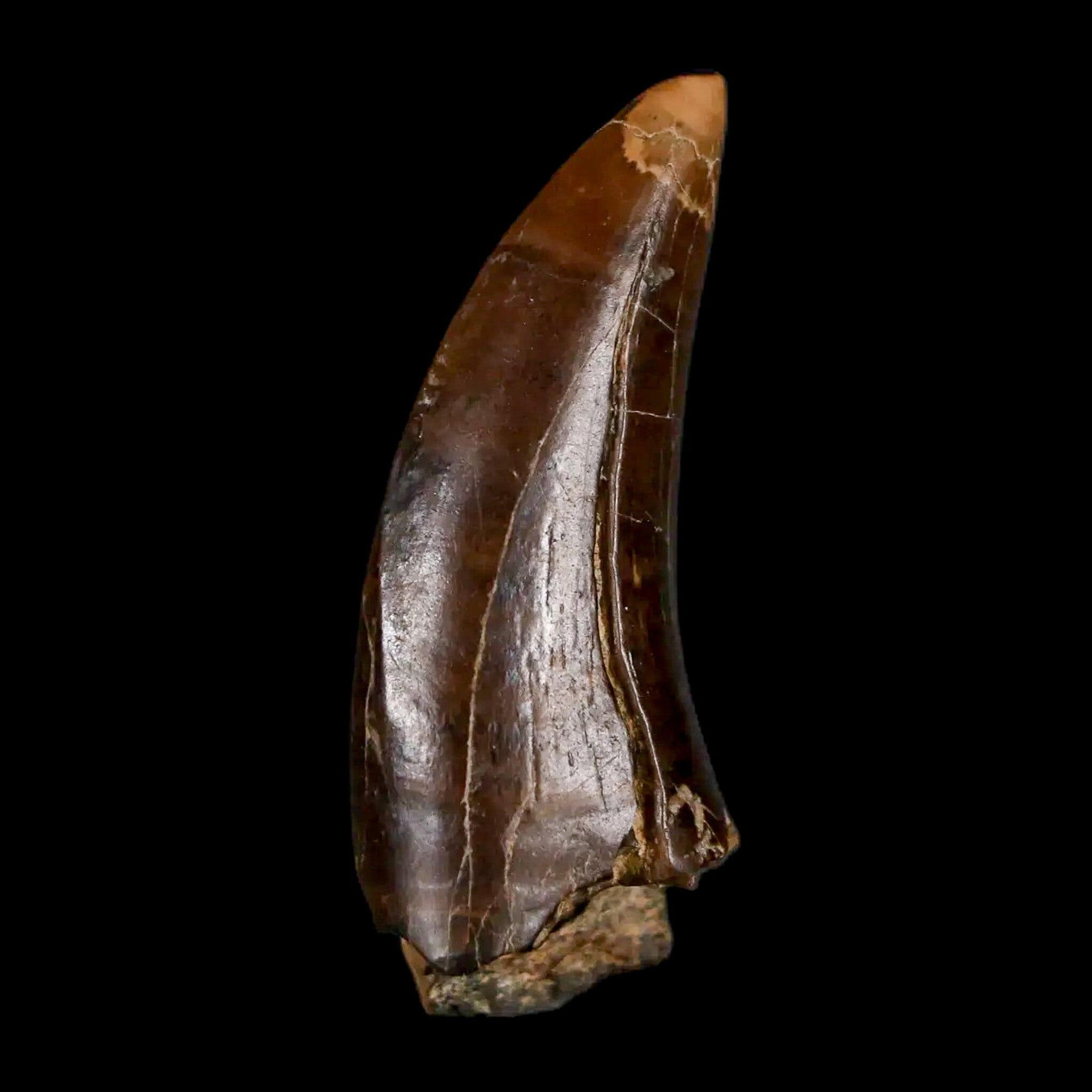 1.5