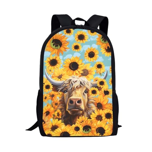 Highland Cow