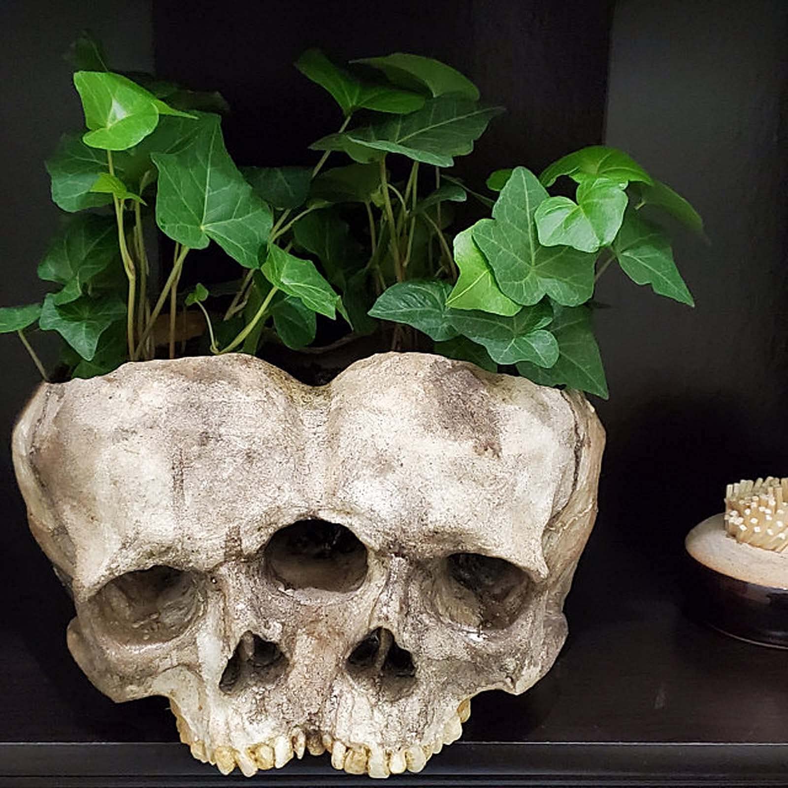 Scary Halloween Skeleton Skull Planter Pot - Double Head Flower Pot for Indoor & Outdoor Decor, Garden, Tabletop, Bookshelf - Perfect for Halloween Party Props & Home Decoration