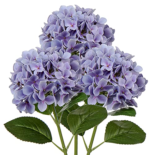 Light Purple #3