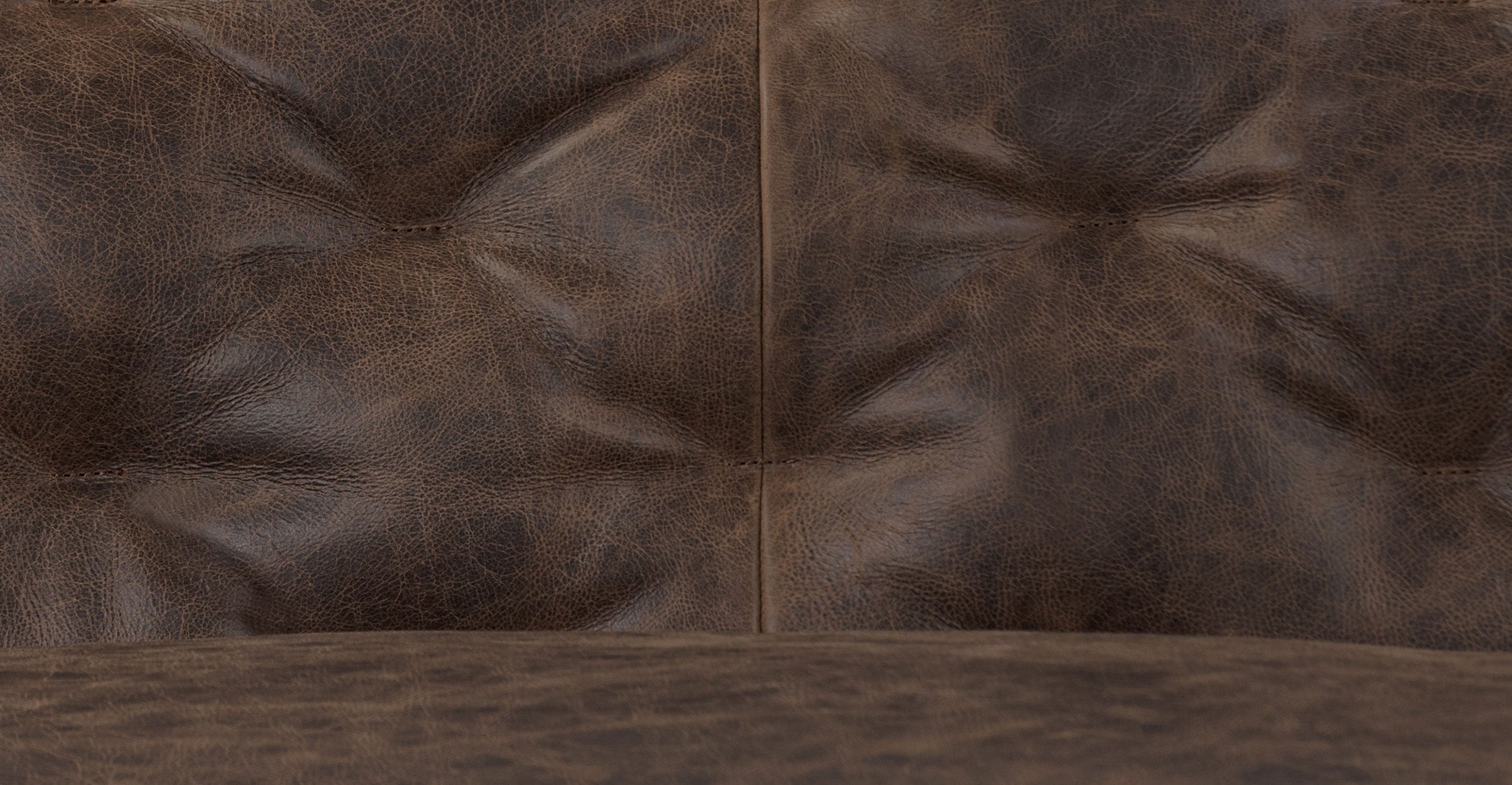 Essex 86 Leather Pull-Out Convertible Sleeper Sofa - Modern Leather Sofa Bed for Living Room, Guest Room & Small Spaces