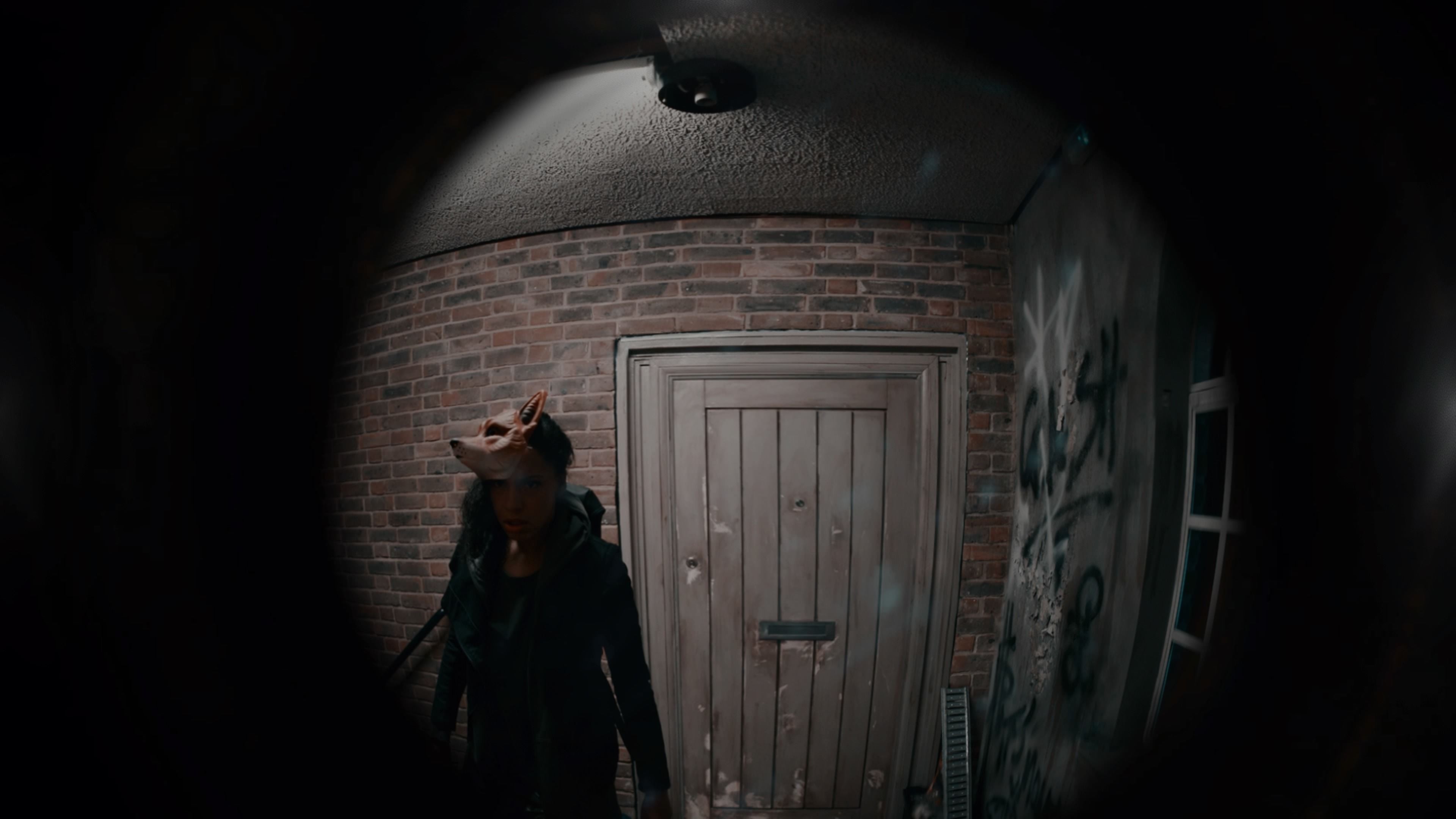 Limited Run #403: Erica (PS4) - Exclusive Physical Edition - Psychological Thriller Game for PlayStation 4 - Perfect for Horror Game Fans & Collectors - Play at Home or Game Nights