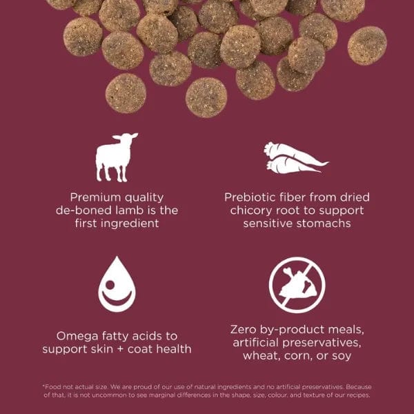 Go! Solutions Sensitivities Limited Ingredient Grain-Free Lamb Recipe Dry Dog Food - Hypoallergenic Kibble for Dogs with Food Allergies & Sensitive Stomachs - Perfect for Adult Dogs with Skin & Digestive Issues