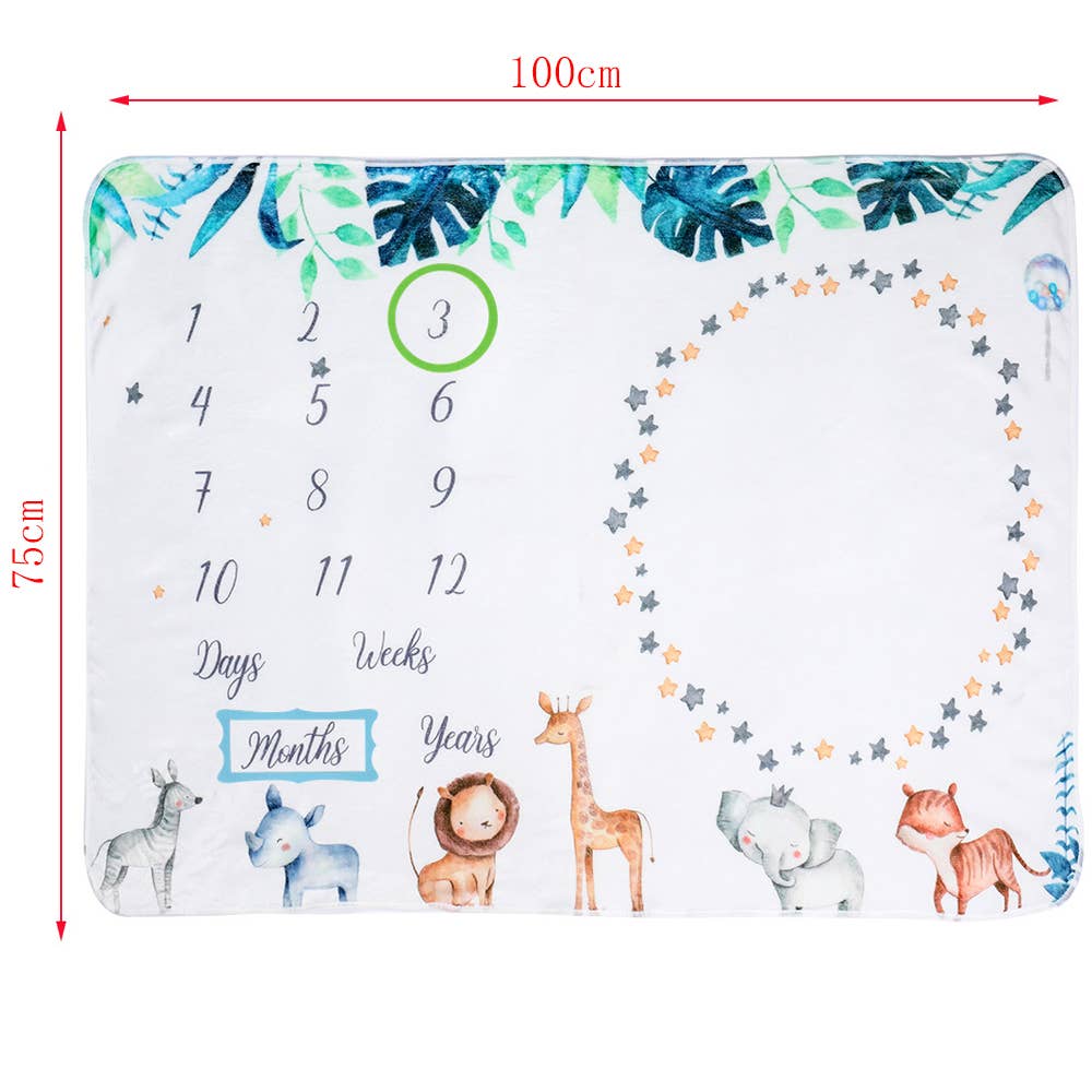 Baby Monthly Milestone Blanket - Soft & Photographic Growth Tracker for Newborns - Perfect for Monthly Photo Shoots, First Birthday & Nursery Decor