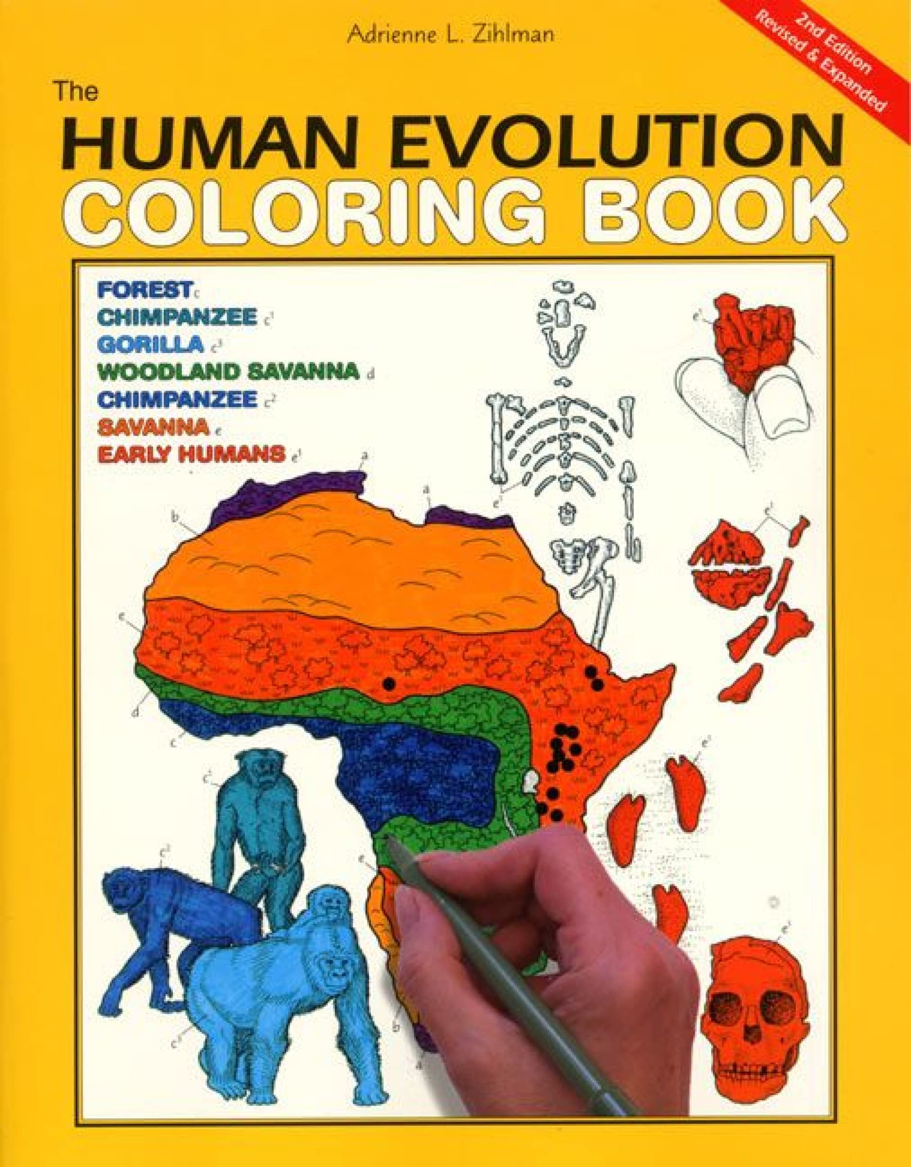 The Human Evolution Coloring Book - Educational Science Activity for Kids & Adults | Perfect for Learning, Relaxation & Creative Fun