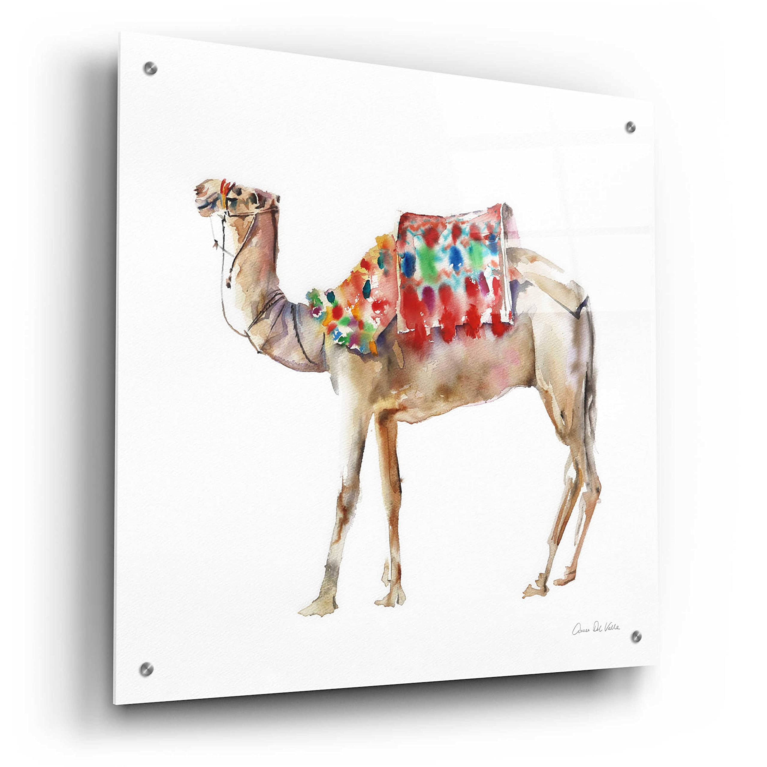 Alan Majchrowicz 'Desert Camel II' Acrylic Glass Wall Art - 24x24 Inches Modern Home Decor for Living Room, Bedroom & Office