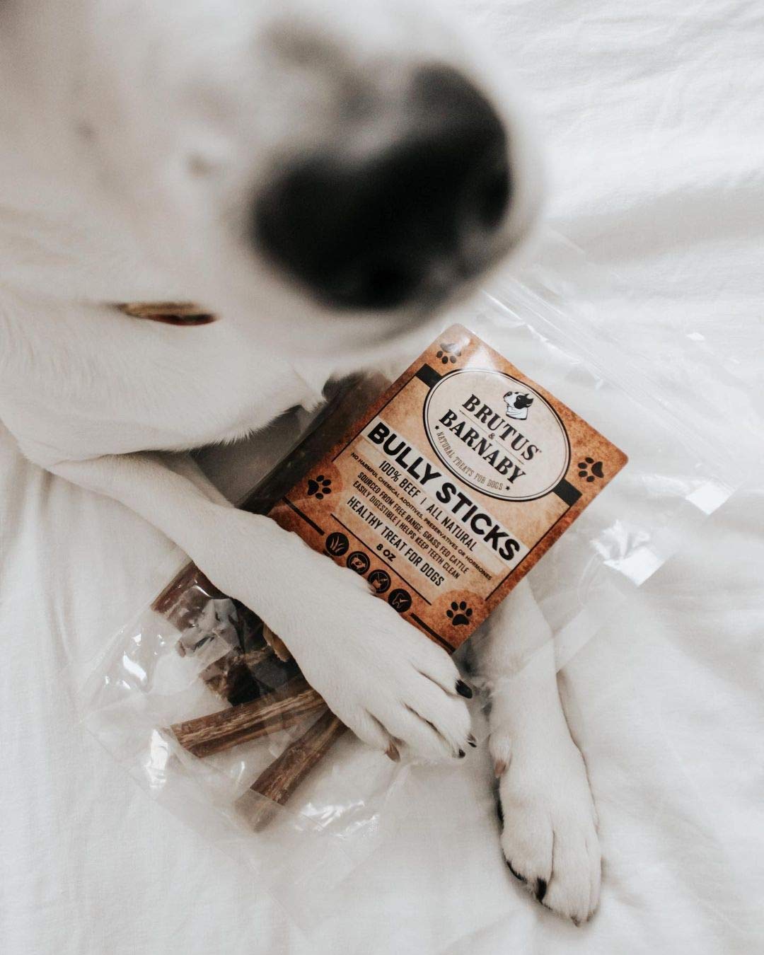 BRUTUS & BARNABY Grass Fed Bully Sticks for Dogs - Fully Digestible Natural Beef Dog Chews, Grain Free, Rawhide Free, Small Batch Freshness & Low Odor | Perfect for Puppy Teething, Training Treats & Long-Lasting Dental Health