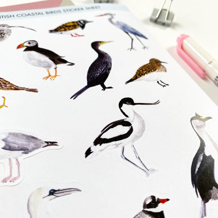 British Coastal Birds Stickers - Waterproof Vinyl Decals for Laptops, Water Bottles & DIY Crafts - Perfect for Beach Lovers & Nature Enthusiasts