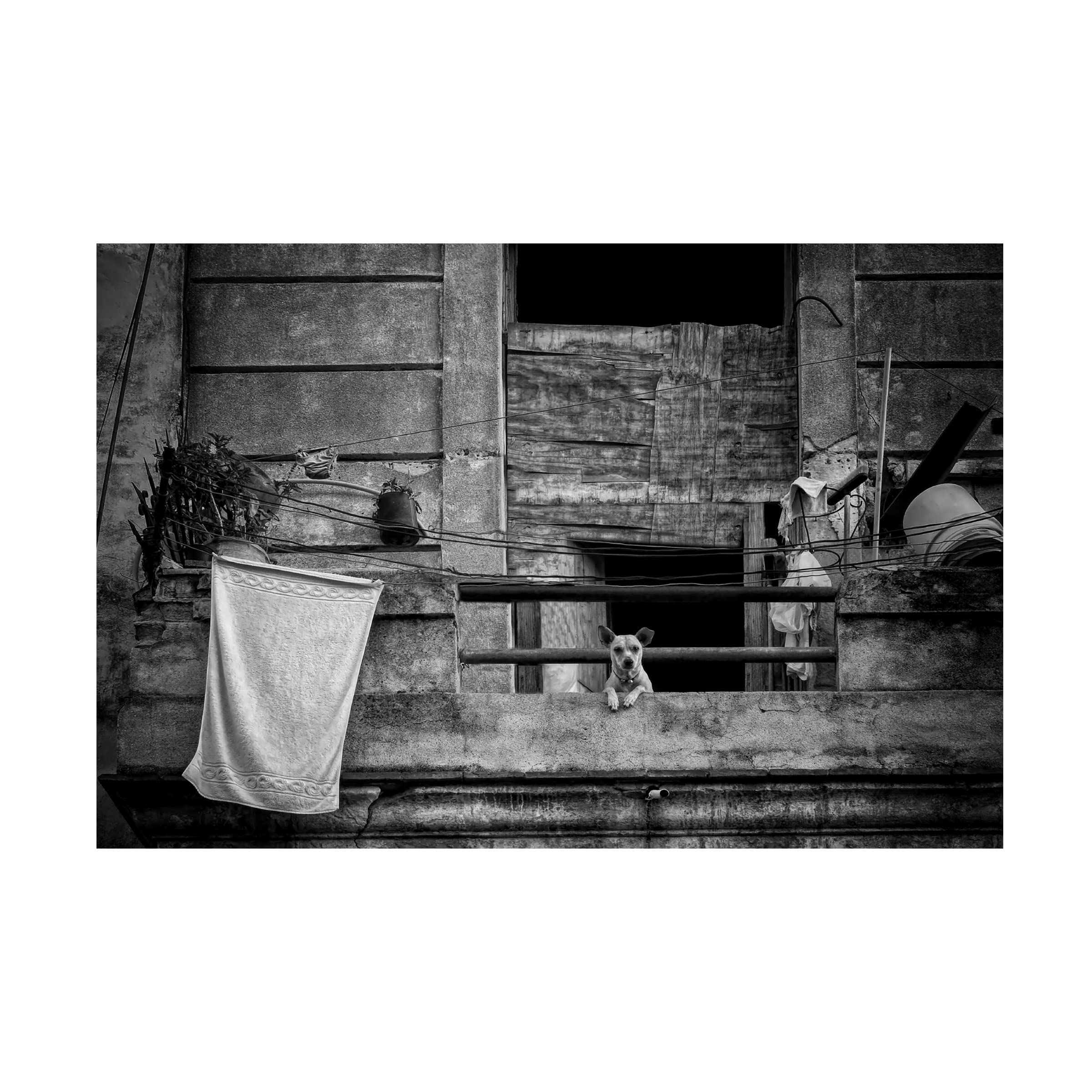 Trademark Fine Art 'Balcony' Canvas Wall Art by Roxana Labagnara - Elegant Home Decor for Living Room, Bedroom & Office