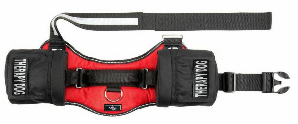 **Therapy Dog Harness with Removable Saddle Bag & 2 Patches - Adjustable Pet Carrier Backpack for Travel, Hiking & Daily Walks - Made by Doggie Stylz - Measure Your Dog Before Ordering**