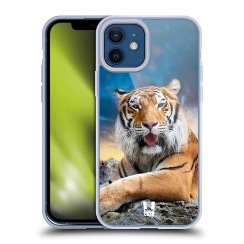 Tiger Sky Background