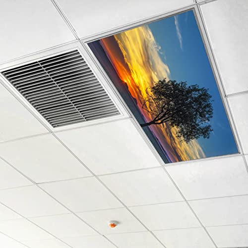 Tree Nature